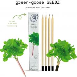 green-goose® Seedz Bloeipotlood in Plantbare Verpakking | 4 Stuks | Munt | Duurzaam en Circulair | USE, PLANT, EAT, REPEAT | Plant een Boom!